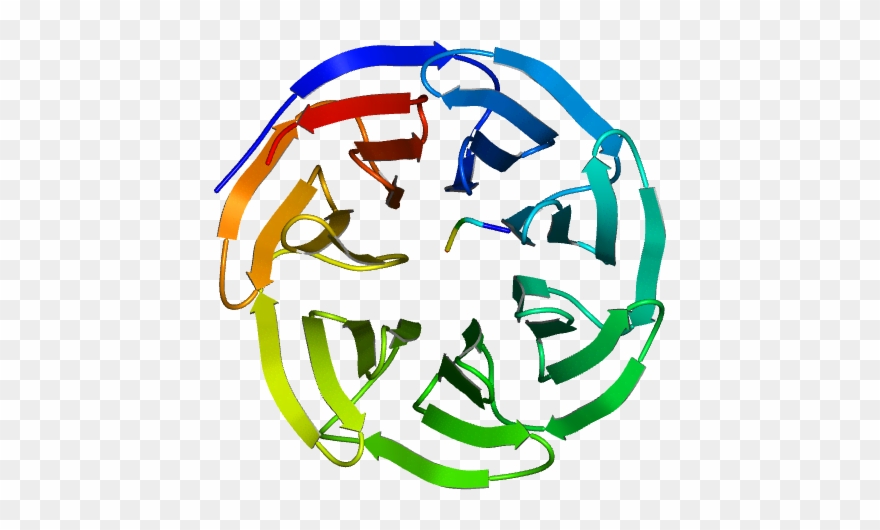 The Crystal Structure Of Wdr5 Bound To A 10 Residue Clipart