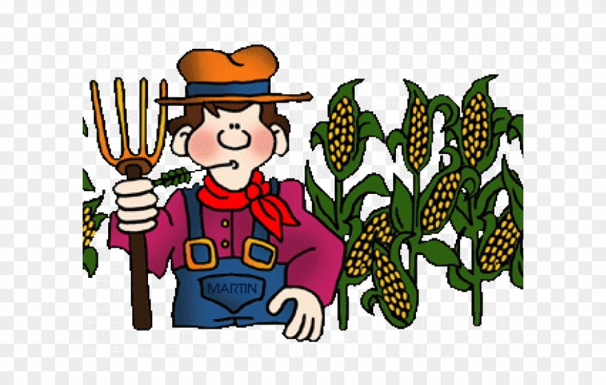 Cornfield Clipart Food Crop - Png Download