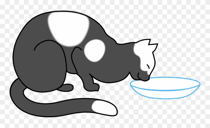 Cat Animal Drinking Eating Png Image Clipart