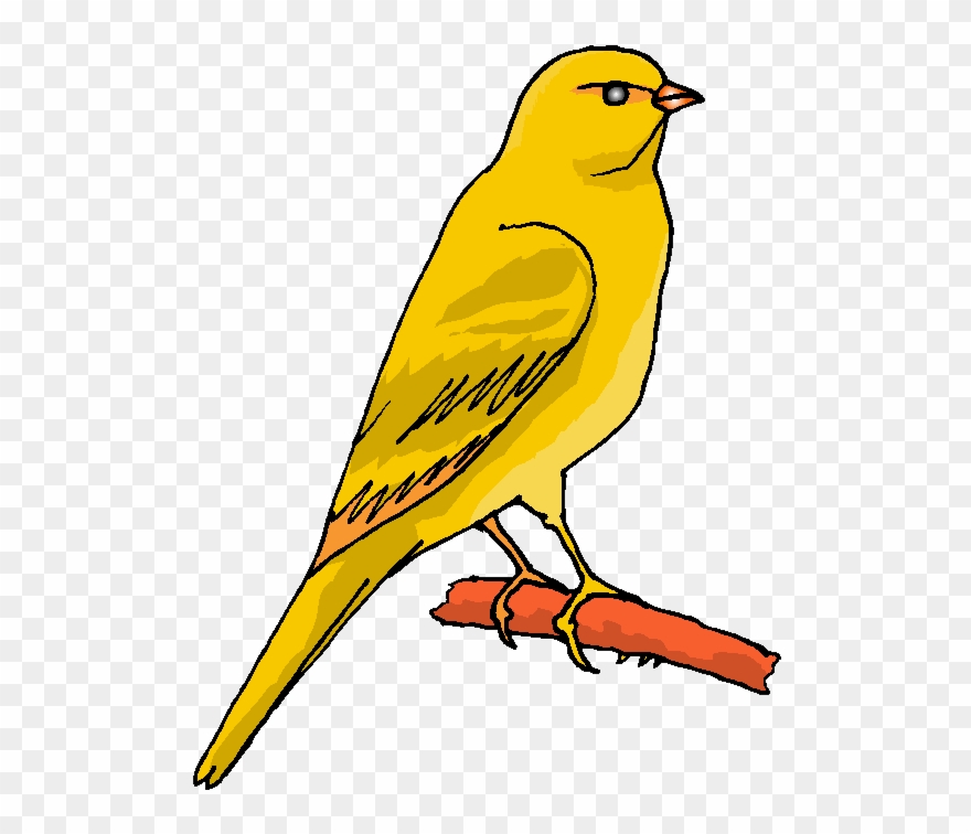 Index Of Variados/animais/aves Clipart