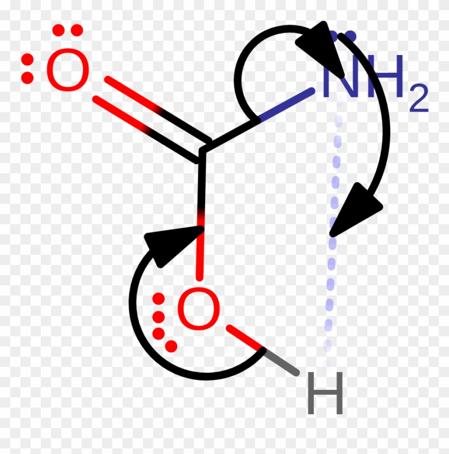 Carbamate Dissociates From The Active Site And Is Spontaneously Clipart