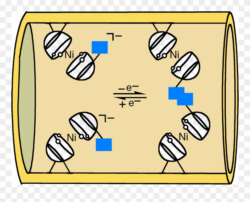 For Example, These Rotary Motors Can Be Used To Control Clipart