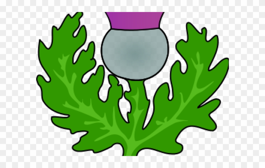 Wreath Clipart Thistle - Png Download