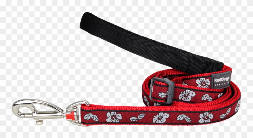 Red Dingo Hibiscus Red Kutyáknak Póráz 1,2m S-méretben Clipart
