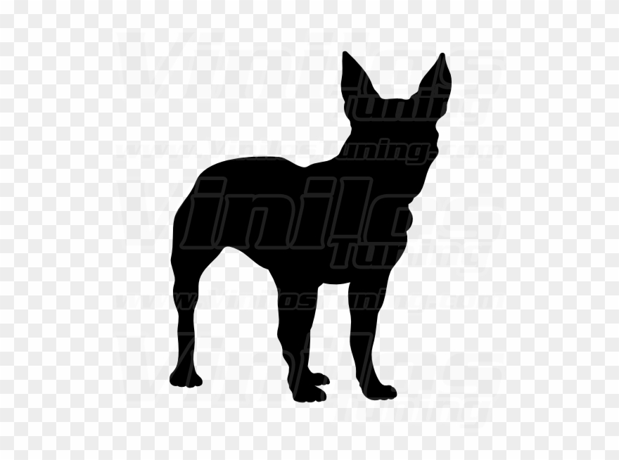 Bull Terrier Clipart