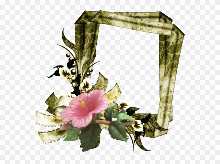 Picture Frame Decor, Print Ideas, Frame Decoration Clipart