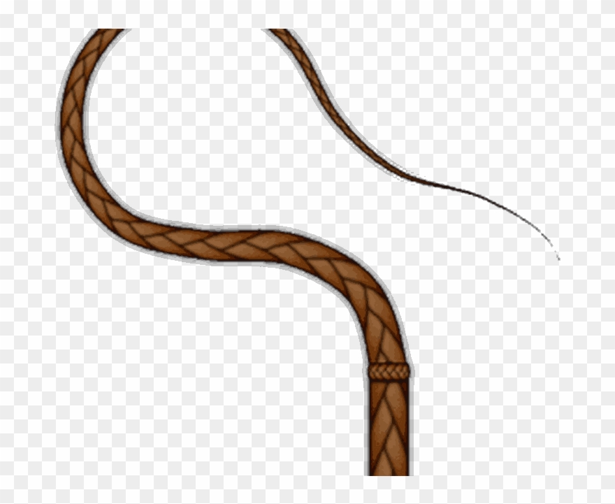 Horse Whip Png Clipart