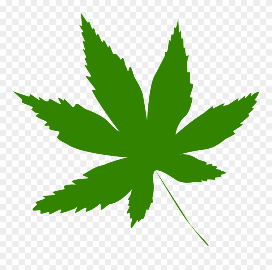 Icon Leaf Green Tree Nature Png Image Clipart