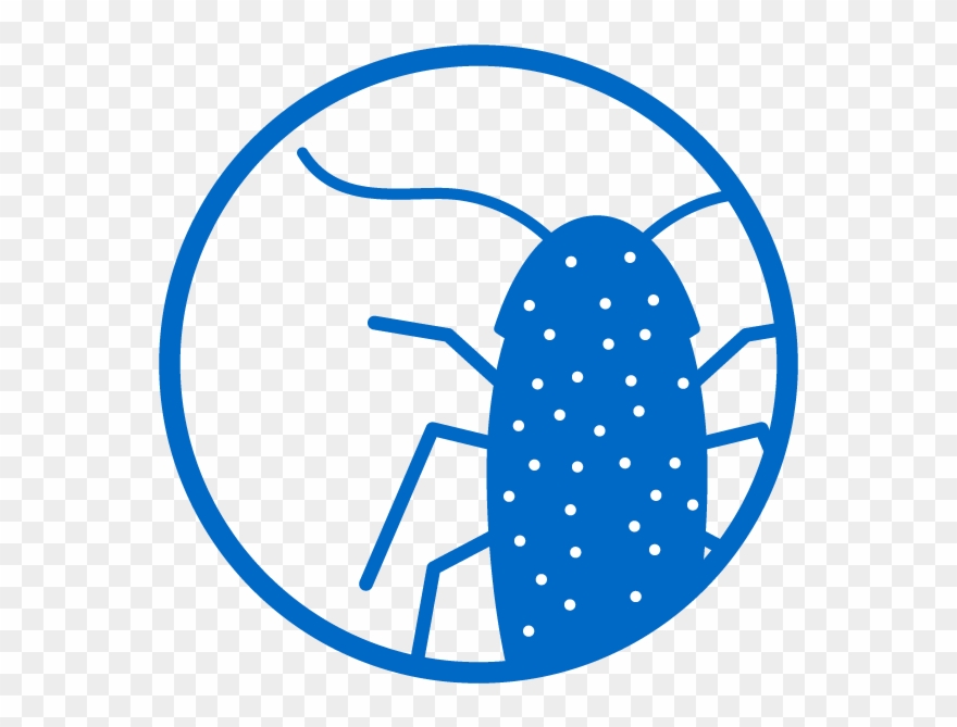 Concentrated Essential Oils Penetrate Bug's Shells Clipart