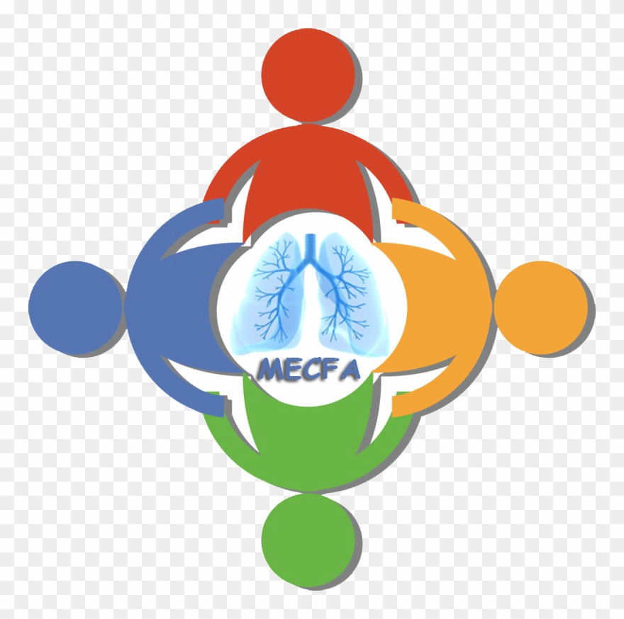 Overview Clipart Association - Png Download