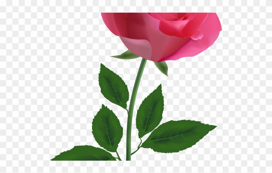 Rose Clipart Rose Bud - Png Download