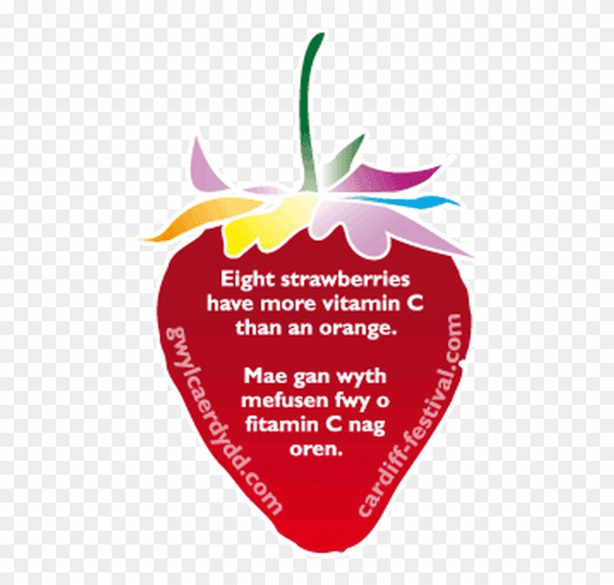 Swansea City Skipper Garry Monk Predicts New Boss Paulo Clipart