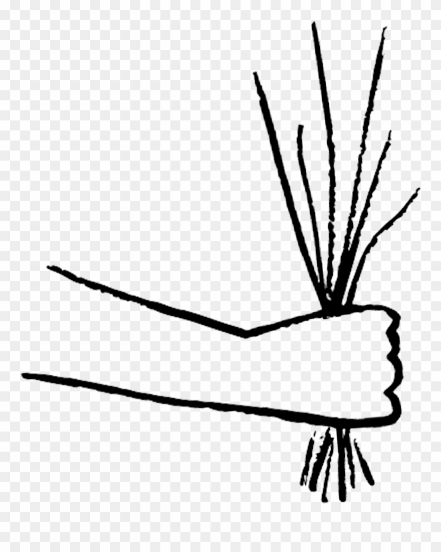 Flowers By Colore G Clipart