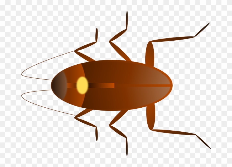 American Exterminating Pest Control Latin American Clipart