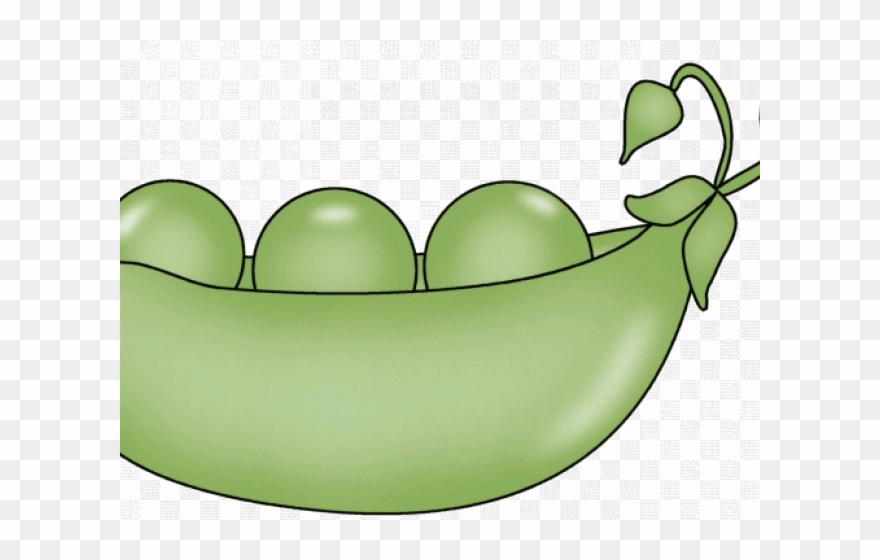 Lima Beans Clipart Bowl Pea - Png Download