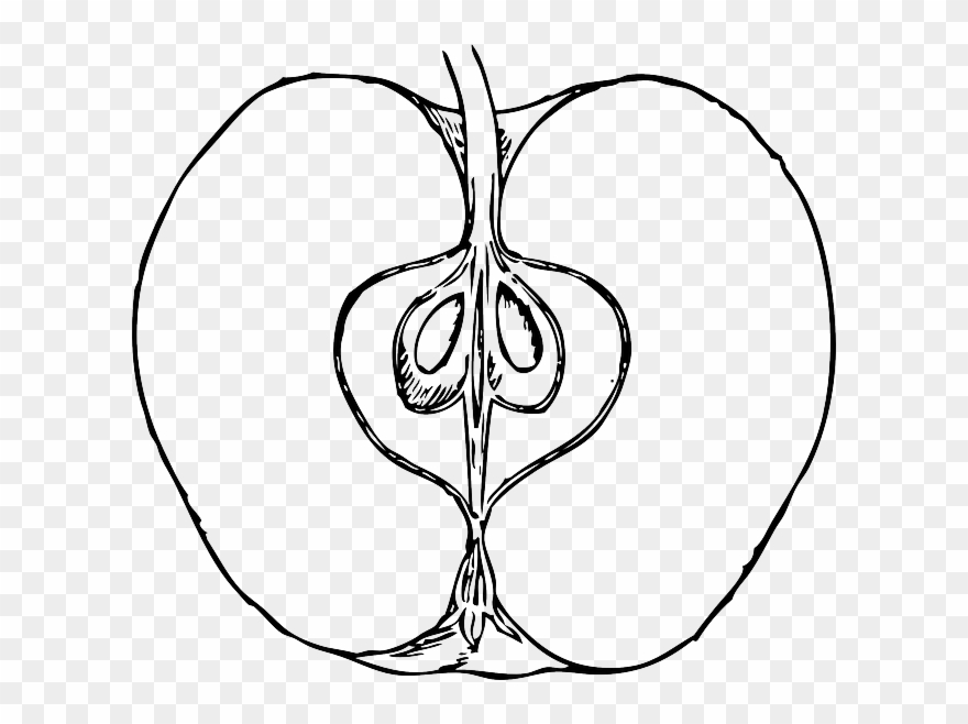 Apple Clipart Sketch - Png Download