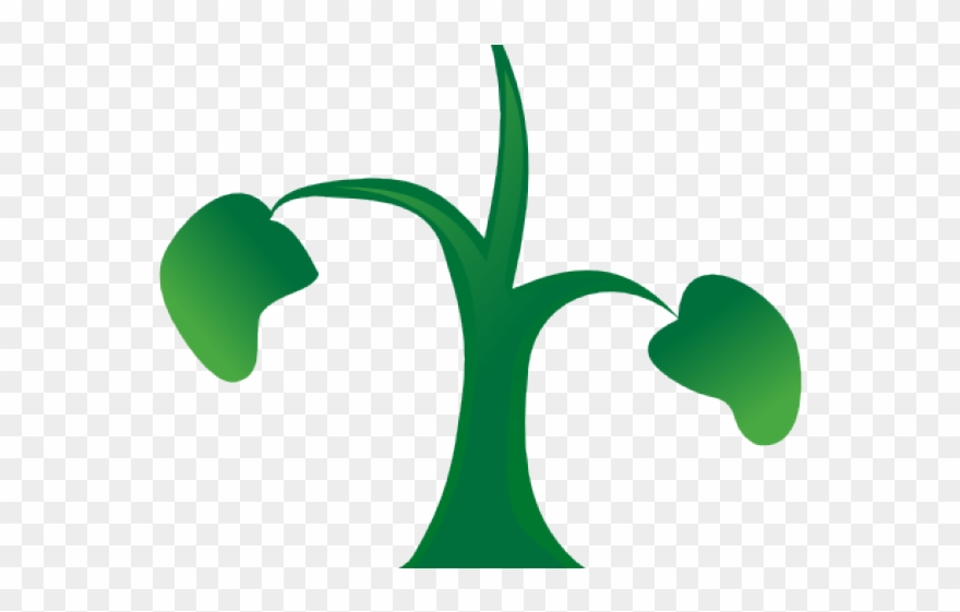 Soil Clipart Sapling - Png Download