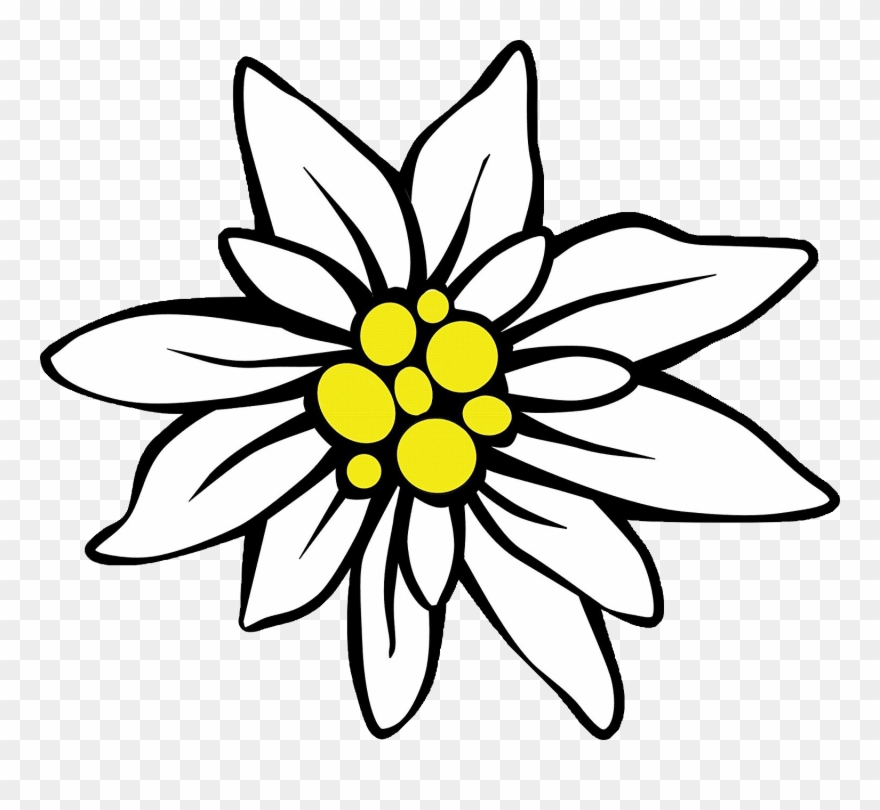 Page Divider Clipart - Png Download