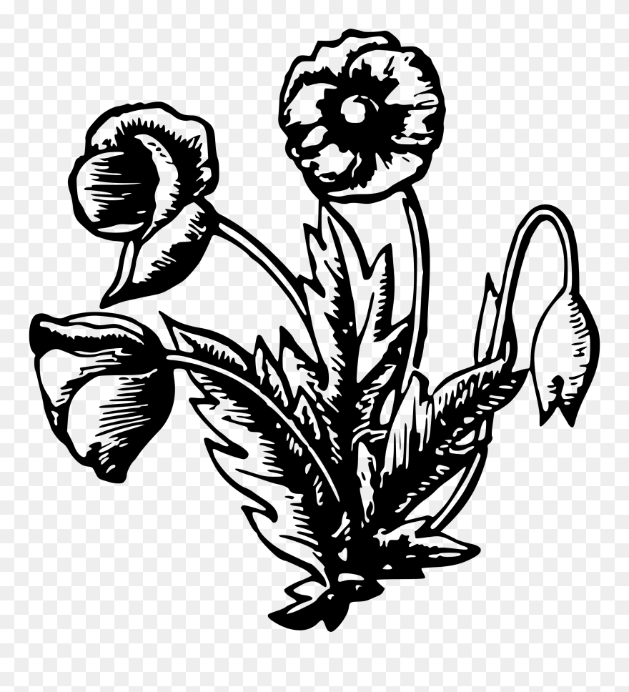 Flora Floral Flower Leaf Leaves Png Image Clipart