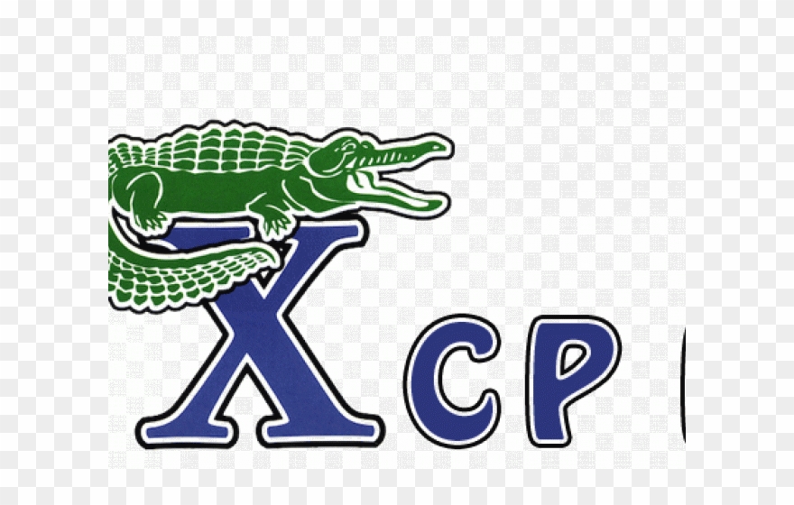 Volleyball Clipart Gator - Png Download
