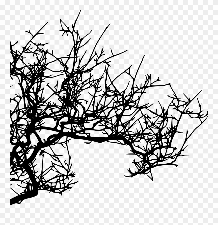 Free Download Clipart