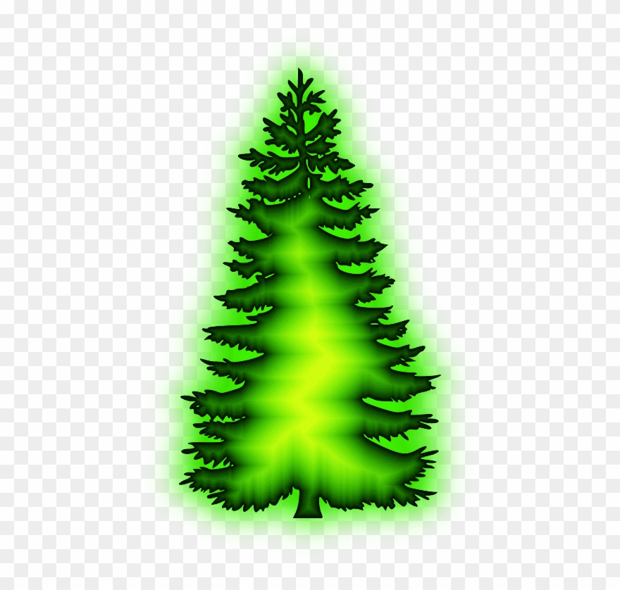 Photo Christmas Tree Hd Png Clipart