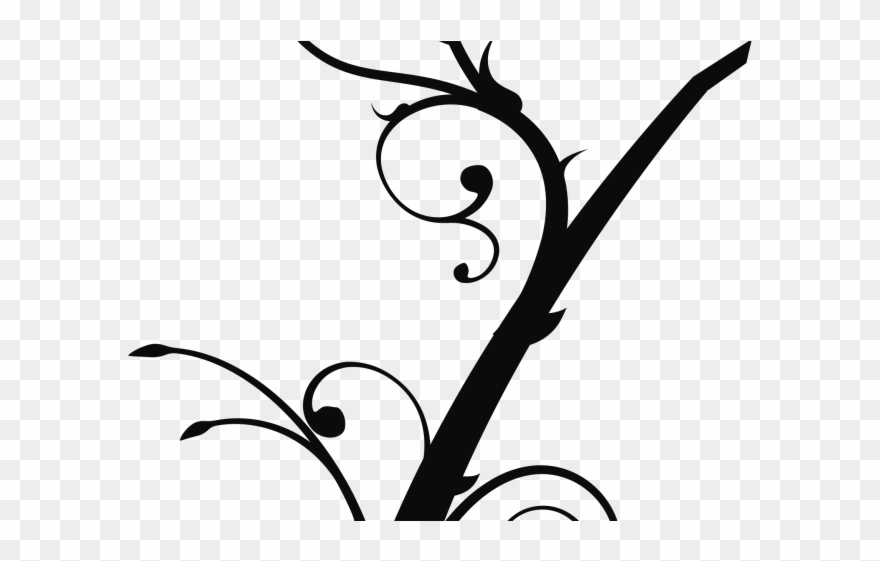 Branch Clipart Swirly Tree - Png Download