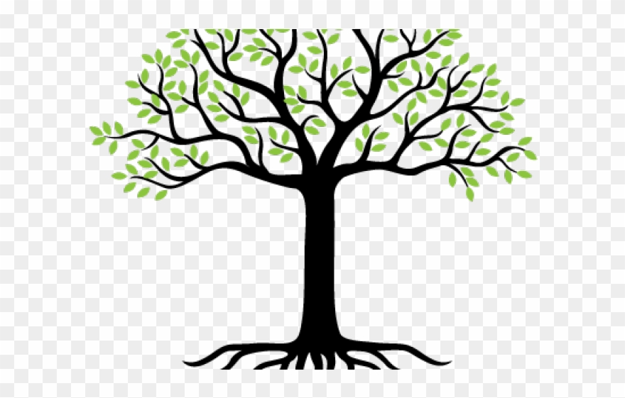 Roots Clipart Landscaping - Png Download