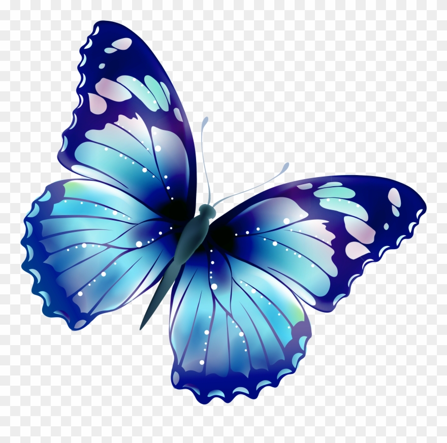 Pin By Ольга Погореленко On Бабочки Clipart