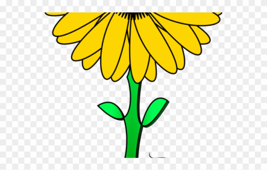 Sunflower Clipart Daisy - Png Download