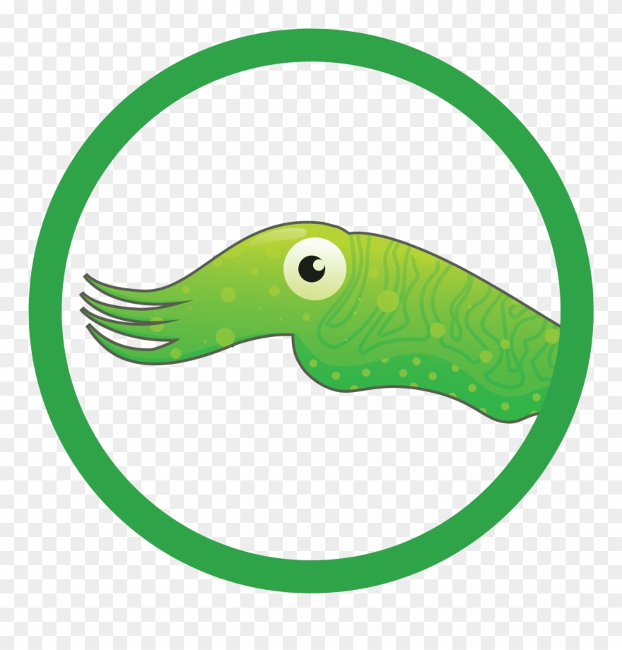 Swim Lesson Description City Clipart