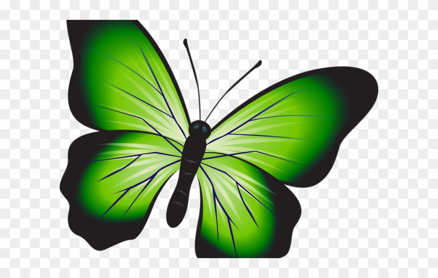 Rainbow Butterfly Clipart Buttrfly - Png Download