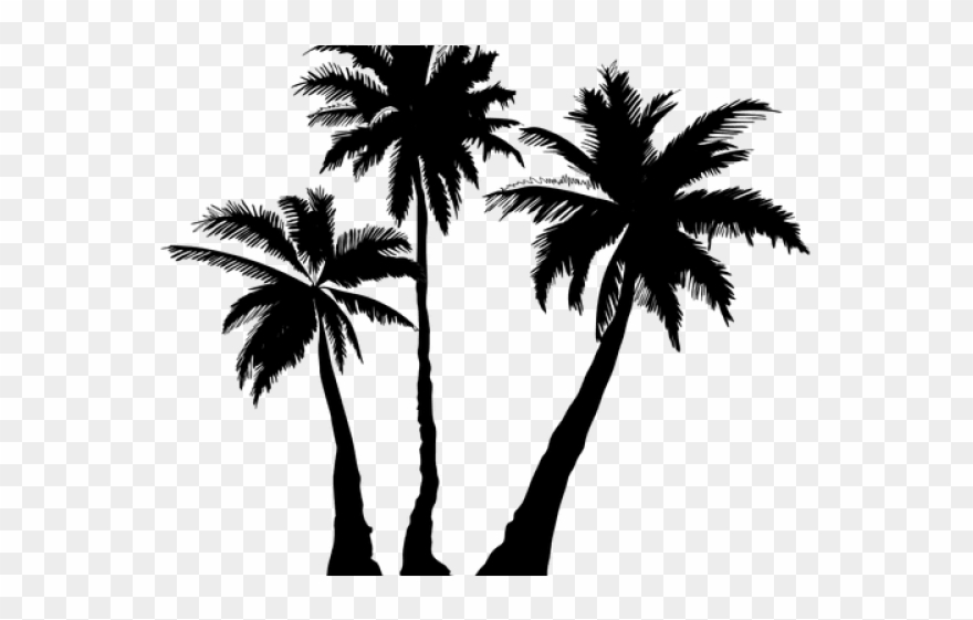 Skyline Clipart Palm Tree - Png Download
