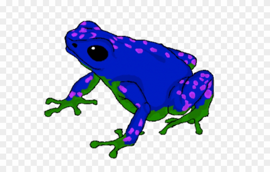 Poison Dart Frog Clipart Thumbnail - Png Download