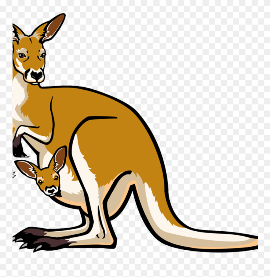Realistic Clipart Kangaroo - Png Download