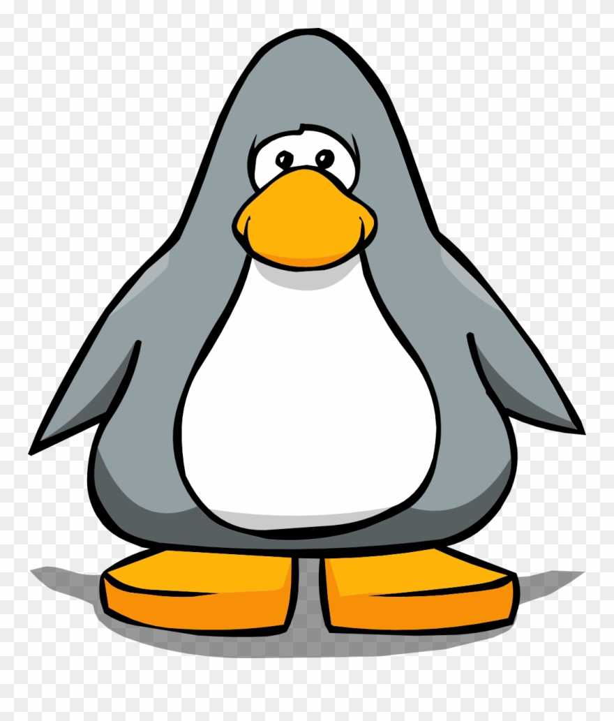 King Penguin Clipart Colour - Png Download
