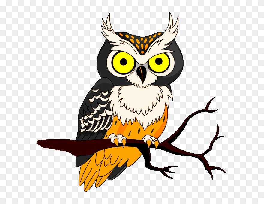 Halloween Owl Clipart 633 X 600 42964 Bytes - Png Download