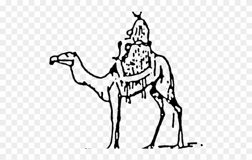 Footprint Clipart Camel - Png Download