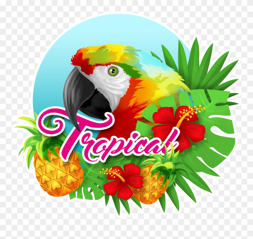 Tropical Clipart