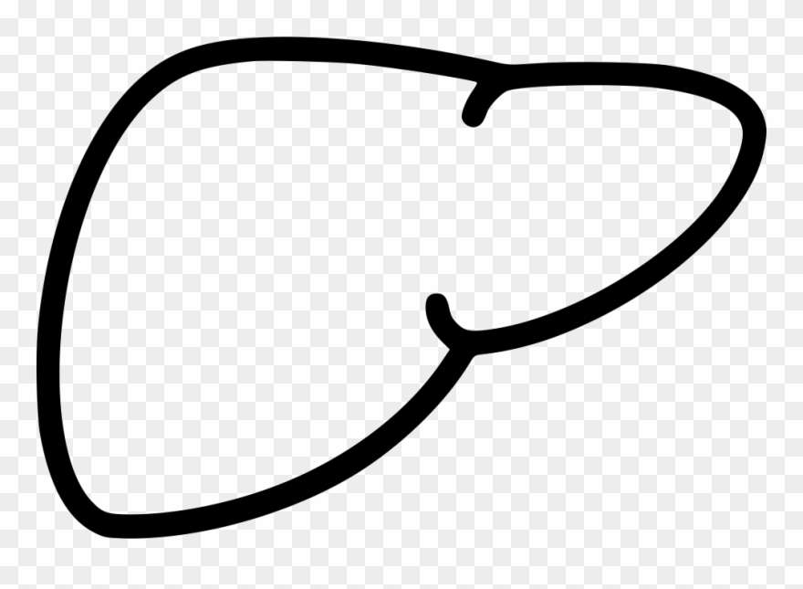 Liver Biology Anatomy Medicine Svg Png Icon Free Download Clipart