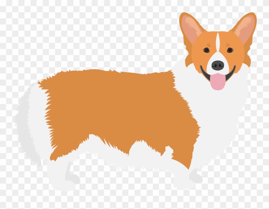 Pembroke Welsh Cardigan Icelandic Clipart