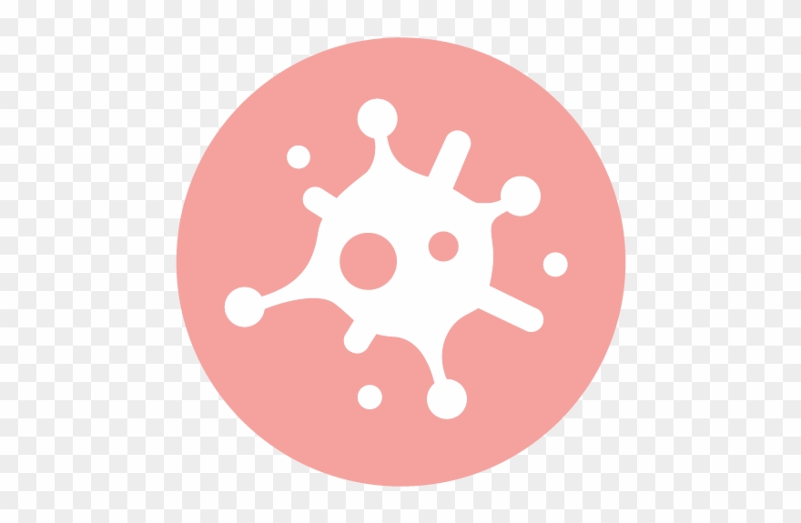 Preview From Chapter 7 Immune Function Clipart