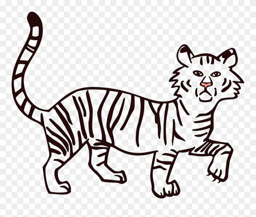 Drawing Kangaroos Colour Clipart