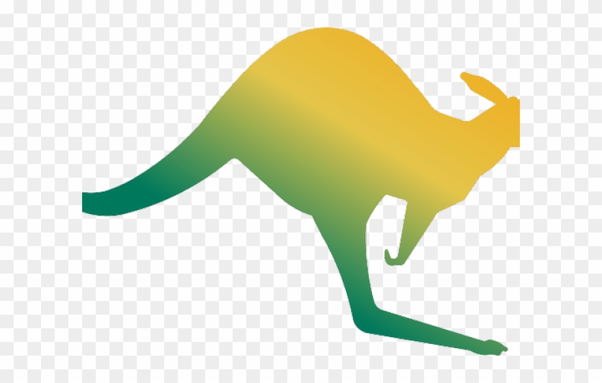 Kangaroo Clipart Basketball - Png Download