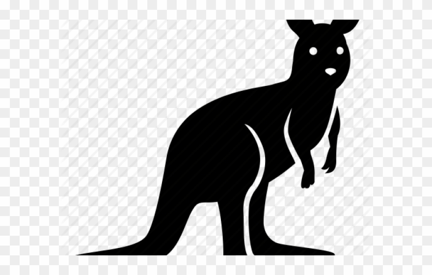 Wallaby Clipart Australia Kangaroo - Png Download