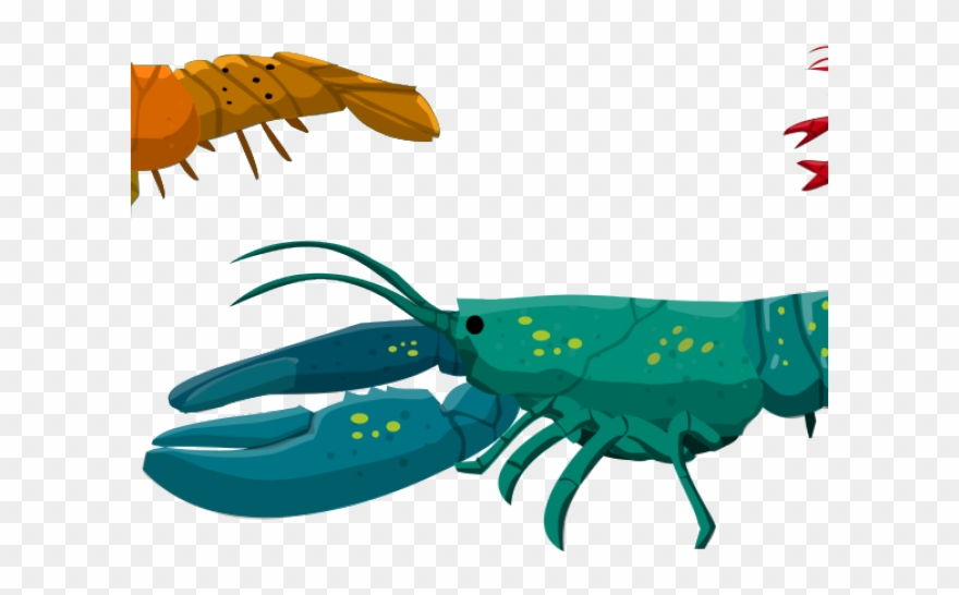 Barracuda Clipart Spiny Lobster - Png Download