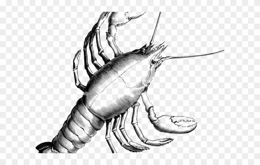 Lobster Clipart Sad - Png Download