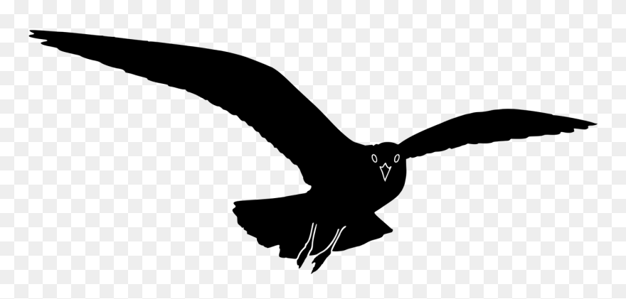 Clip Art Details - Seagull Silhouette Clip Art - Png Download