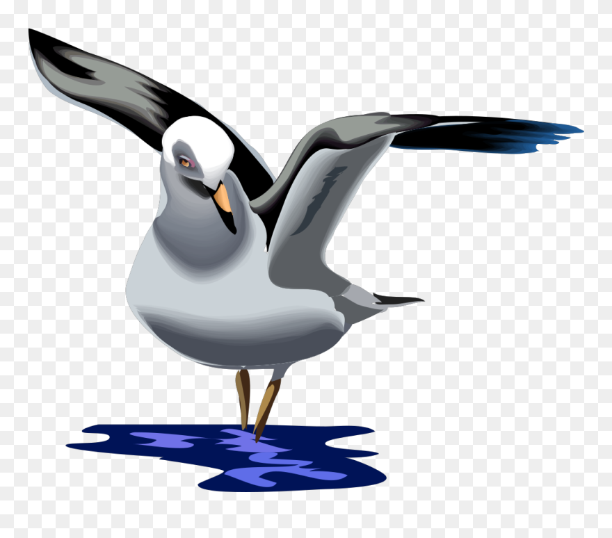 Seagull Clip Art Download - Png Animation Cartoon Pigeon Transparent Png