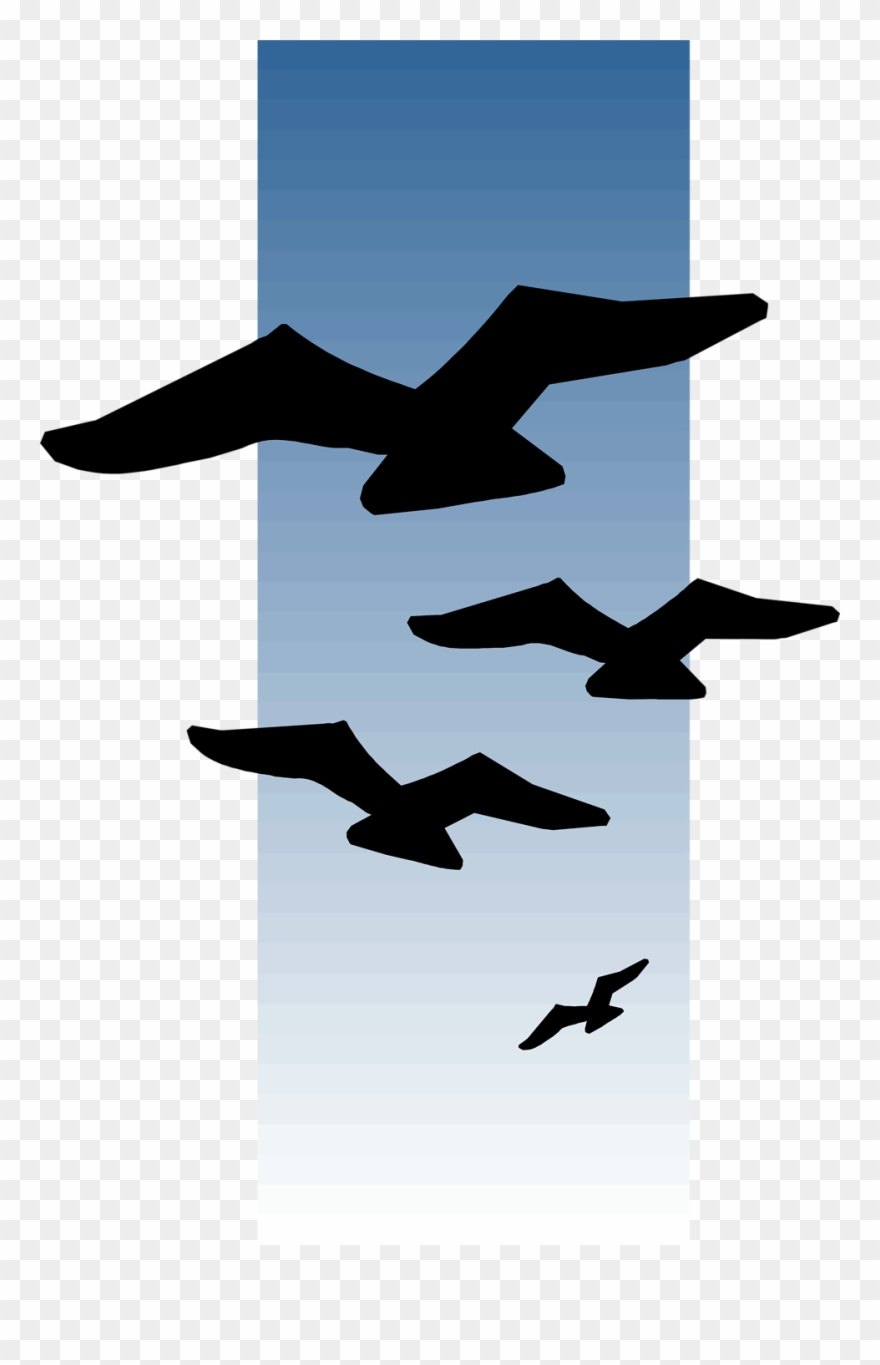Seagull Clipart Bird Fly - Birds In The Distance Drawing - Png Download
